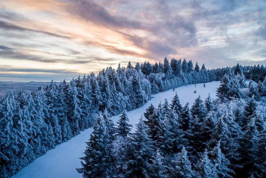Mountain Getaway, Ski-in/ski-out, Heart Of The Village Snowshoe